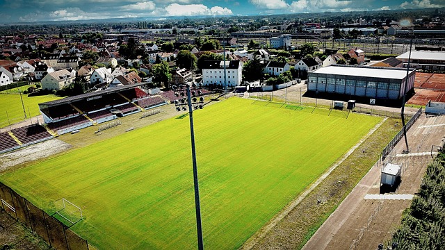 志引发了广 志引发了广