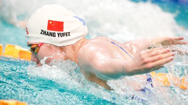 定性成为制 定性成为制