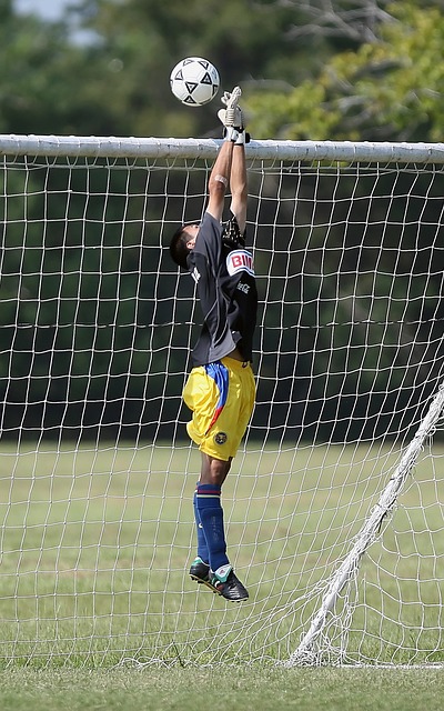 更具活力的 更具活力的