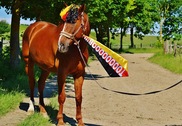 事的公正性 事的公正性