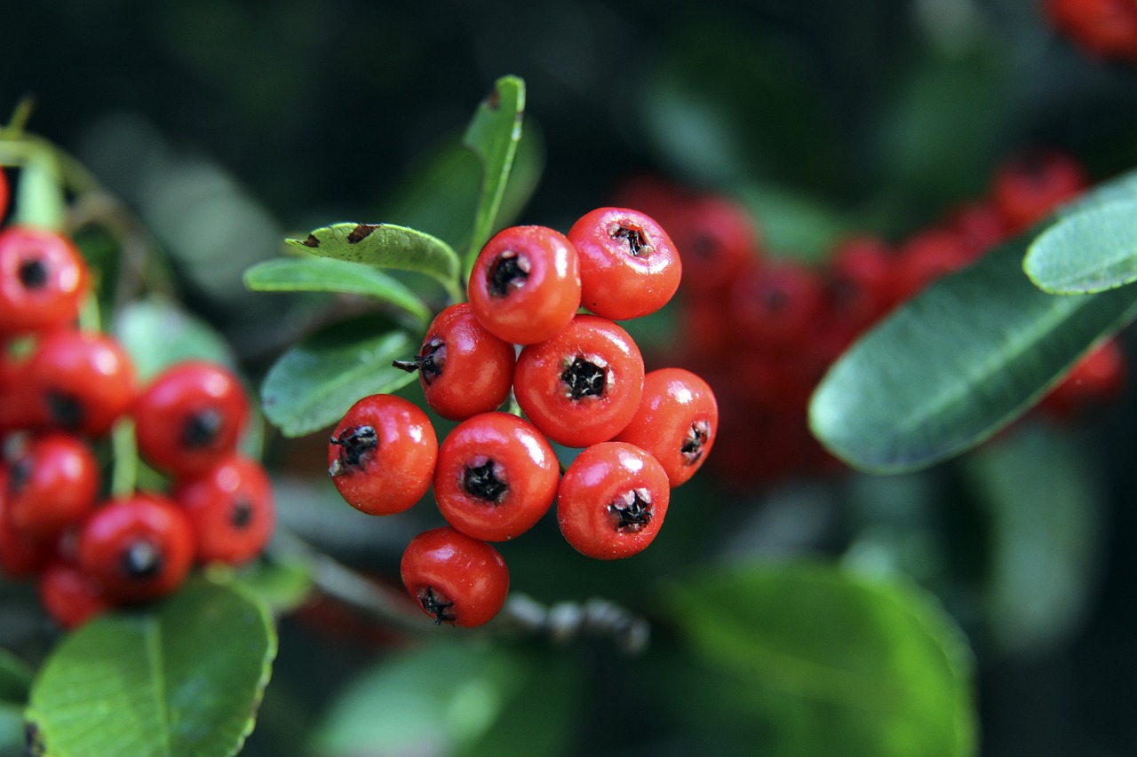 过比赛交流 过比赛交流